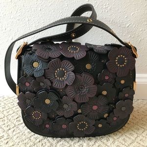 Coach 1941 Saddle 23 with Tea Rose